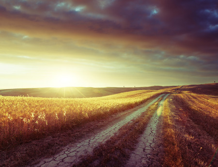 Tuscany country road, Italyの写真素材