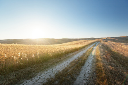 Tuscany country road, Italyの写真素材