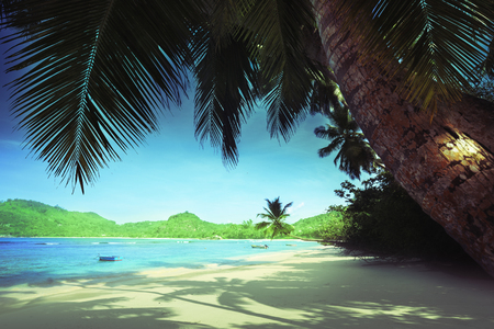 beach Anse Takamaka, Seychellesの写真素材