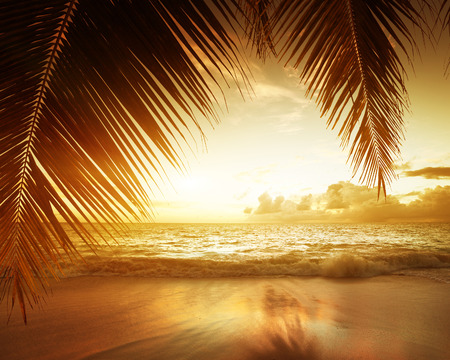 sunset on Seychelles beachの写真素材