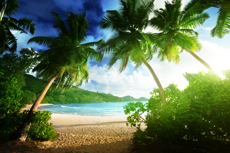 sunset on the beach Takamaka, Mahe island, Seychellesの写真素材