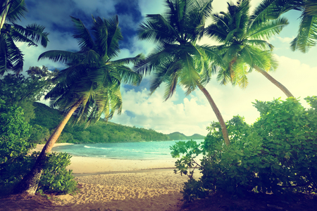 sunset on the beach Takamaka, Mahe island, Seychellesの写真素材