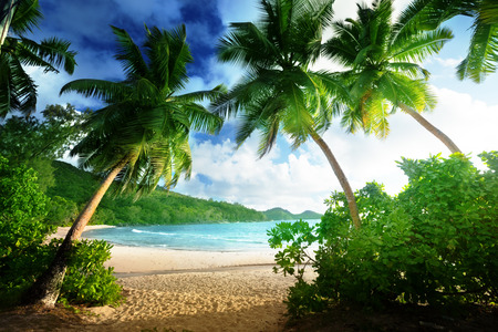 sunset on the beach Takamaka, Mahe island, Seychellesの写真素材