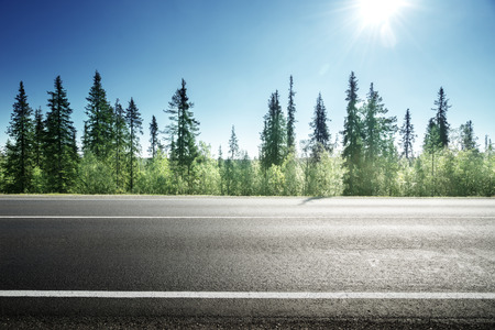 asphalt road in forestの写真素材