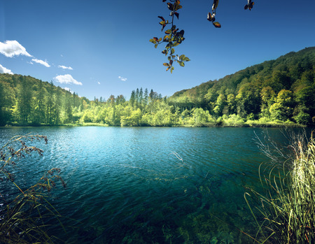 lake in forest of Croatiaの写真素材
