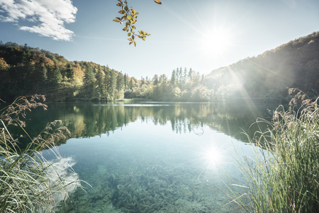 lake in forest of Croatiaの写真素材