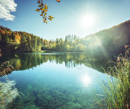 lake in forest of Croatiaの写真素材