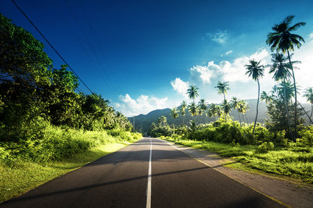 empty road in jungle of Seychelles islandsの写真素材