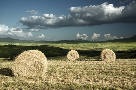 Rural landscape with rolls of hay, Tuscany, Italyの写真素材