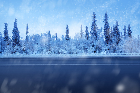 road in winter forestの写真素材