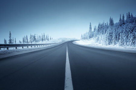 road in winter forestの写真素材