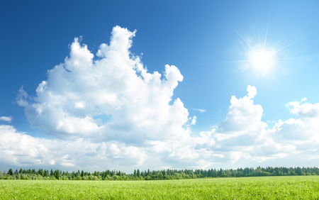 field of grass and perfect skyの写真素材