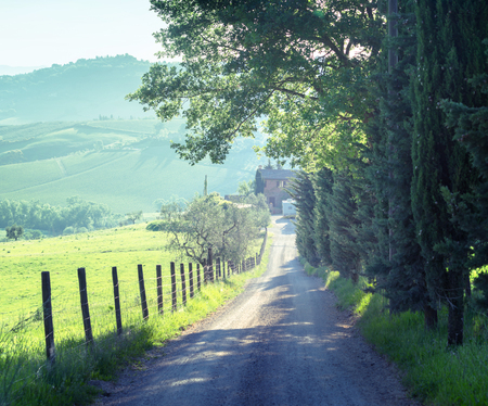 country road, tuscany, Italyの写真素材