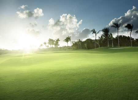 spring grass, golf fieldの写真素材