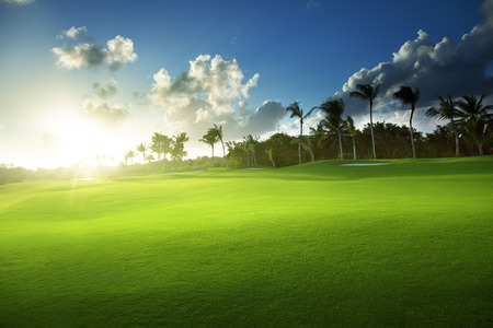spring grass, golf fieldの写真素材