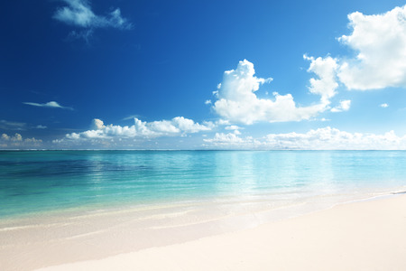 tropical beach, Dominican republicの写真素材