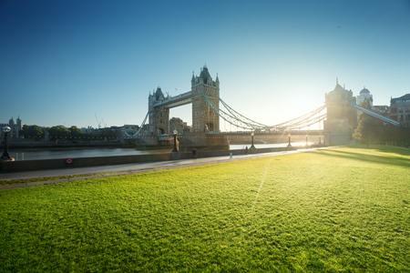 grass and tower bridge in sunny morning London, UKの写真素材