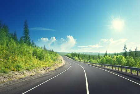 road in north mountain forestの写真素材