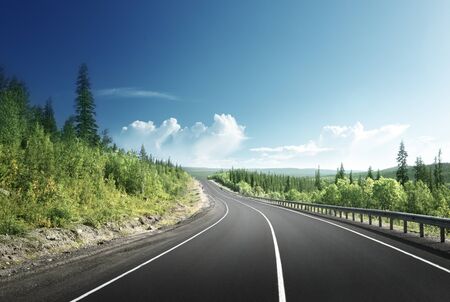 road in north mountain forestの写真素材