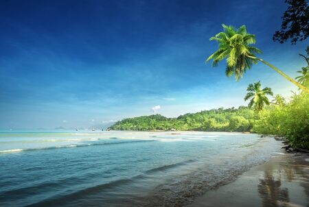 beach in sunset time, Mahe island, Seychellesの写真素材