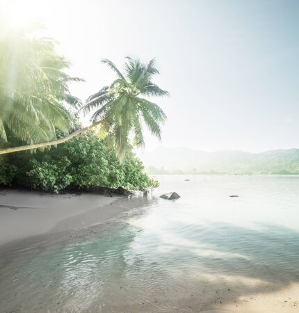 beach on Mahe island, Seychellesの写真素材