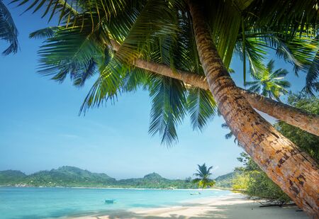 sunset on the beach, Mahe island, Seychelles