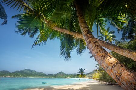 sunset on the beach, Mahe island, Seychellesの写真素材