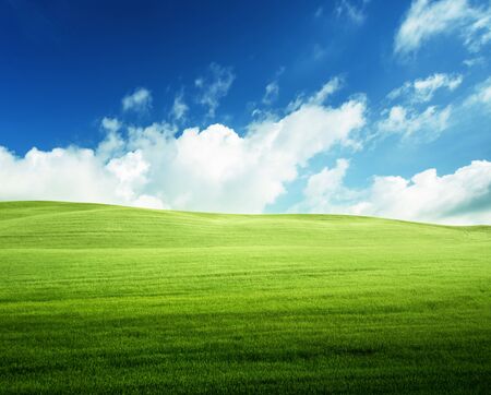 field of grass and perfect blue skyの写真素材