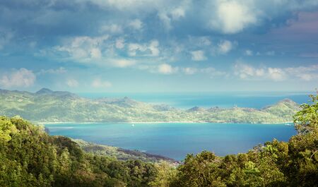 jungle of seychelles, Mahe islandの写真素材