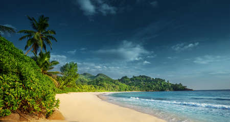 beach at Mahe island, Seychellesの写真素材