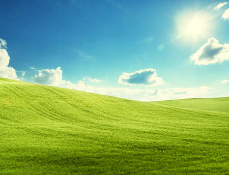 field of grass and perfect blue skyの写真素材