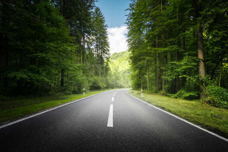 road in mountain forest, Switzerlandの写真素材