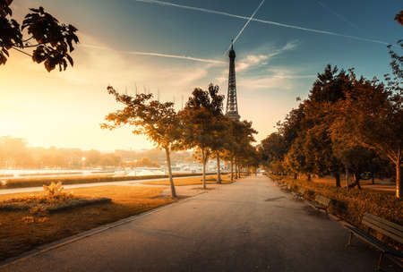 sunny morning, Paris, Franceの写真素材