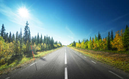 Road in autumn forest, Swedenの写真素材