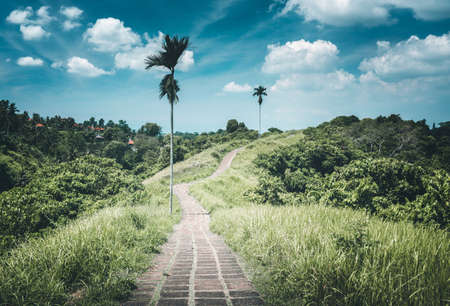 Capuhan ridge walk, Ubud, Bali, Indonesiaの写真素材