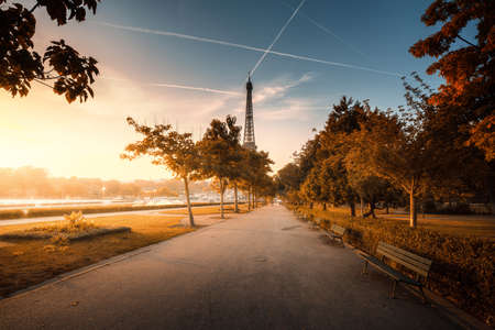 sunny morning, Paris, Franceの写真素材