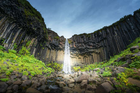 Svartifoss, Black Waterfall, Icelandの写真素材