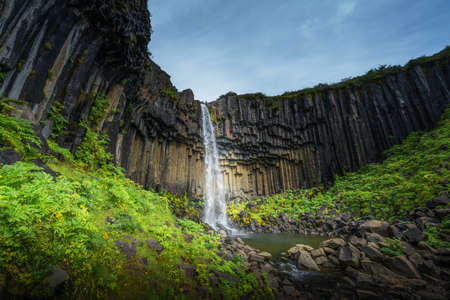 Svartifoss, Black Waterfall, Icelandの写真素材