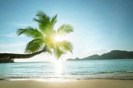 sunset on the beach, Mahe island, Seychellesの写真素材