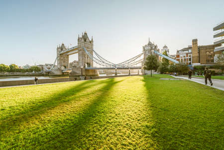 grass and tower bridge in sunny morning London, UKの写真素材