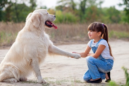 Pretty girl is playing with dog in the nature. She is kneeling and smiling. The animal is giving her fin with joyの写真素材