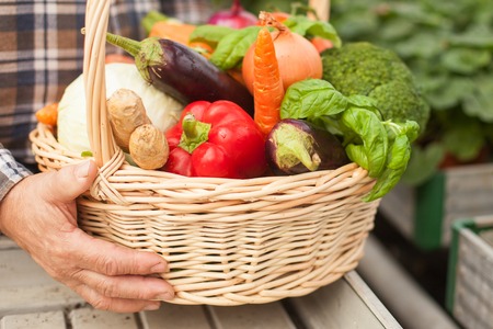 Close up of hands of old farmer holding a basket of vegetables. The man is standing in the gardenの写真素材