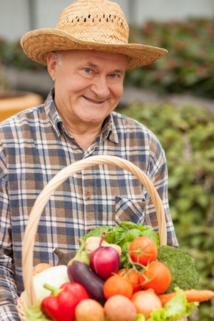 Cheerful old farmer is carrying a basket of fresh vegetables. He is standing and smiling. The man is a hat is looking at camera happilyの写真素材