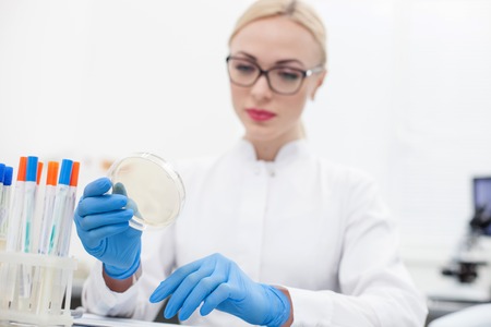 Professional female researcher is checking samples of analysis. She is sitting at the desk and...