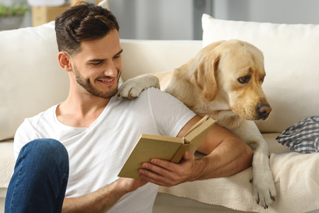 handsome guy reading a book to his displeased labrador at homeの写真素材