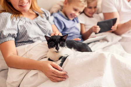 Tender touching. Smiling mother with cute cat sitting in bed under white blanket. Cute children enjoying digital tablets on backgroundの写真素材