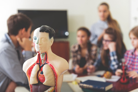 Intent children at interesting lessonの写真素材