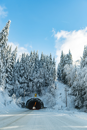 Snowy road in wood in United Statesの写真素材