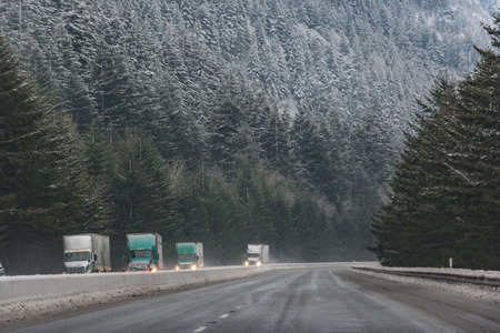Big cars going on through-passage near forestの写真素材