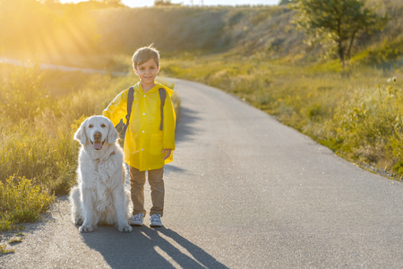 Positive child traveling in nature with Labrador puppyの写真素材
